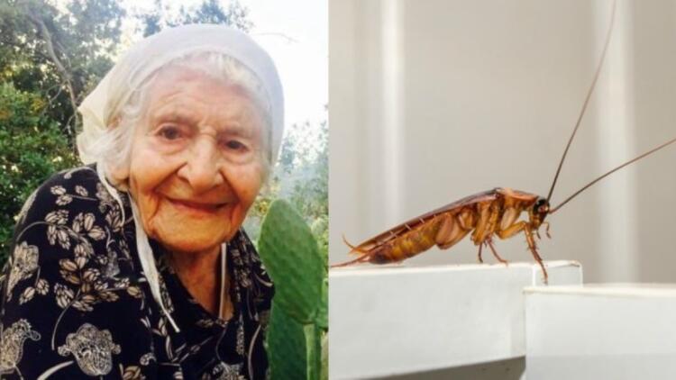 Επιχείρηση «γιαγιά»: Το αλάνθαστο παραδοσιακό κόλπο των γιαγιάδων για την εξόντωση των κατσαρίδων στο σπίτι