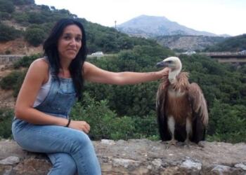 Έλιωσε το διαδίκτυο: Στην Κρήτη ένας ευγενικός γυπαετός έβγαλε selfie και αγκάλιασε με τα φτερά του ένα ζευγάρι που του έδωσε νερό