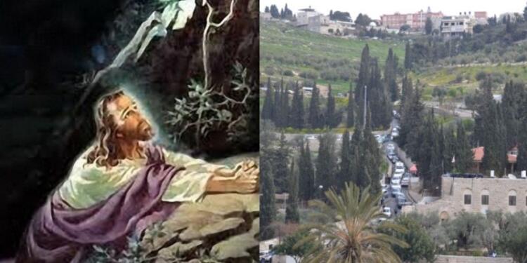 Δέος και κατάνυξη: Αυτός είναι ο τόπος που ο Χριστός προσευχήθηκε για τελευταία φορά προτού σταυρωθεί
