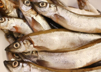 Προσοχή! Δεν είναι όλα ίδια… Αυτά τα 9 ψάρια είναι επικίνδυνα για την υγεία!
