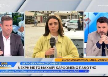 Έγκλημα στο Μενίδι: Τρεις φορές είχε καταγγείλει τον σύζυγό της για ενδοοικογενειακή βία η 40χρονη