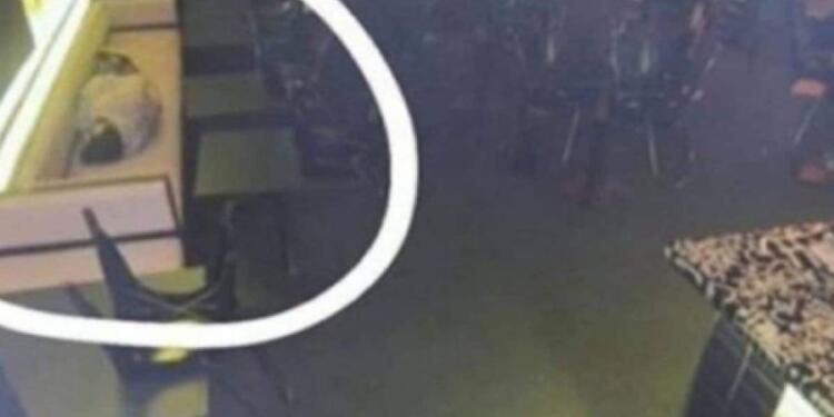 Το αφεντικό τον έπιασε να κοιμάται στη δουλειά – Η αντίδρασή όταν τον είδε από την κρυφή κάμερα θα σας σοκάρει!