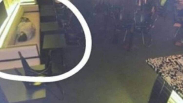 Το αφεντικό τον έπιασε να κοιμάται στη δουλειά – Η αντίδρασή όταν τον είδε από την κρυφή κάμερα θα σας σοκάρει!