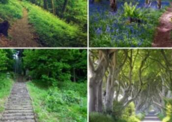 Ποιο μονοπάτι θα διαλέξετε; Το ψυχολογικό τεστ που δείχνει το μέλλον και τον πραγματικό σας χαρακτήρα