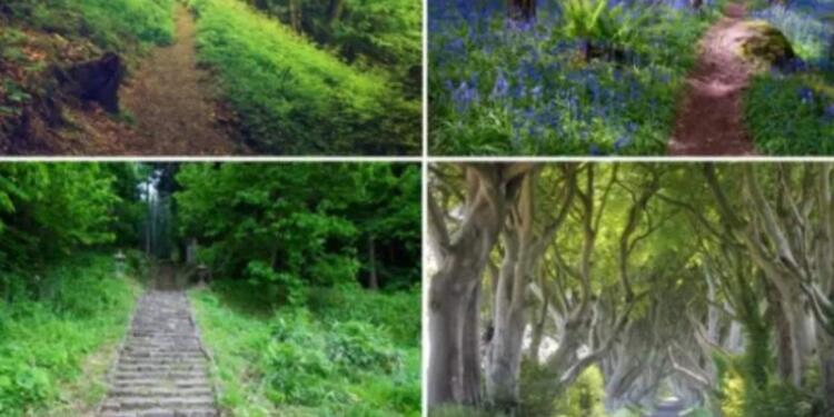 Ποιο μονοπάτι θα διαλέξετε; Το ψυχολογικό τεστ που δείχνει το μέλλον και τον πραγματικό σας χαρακτήρα