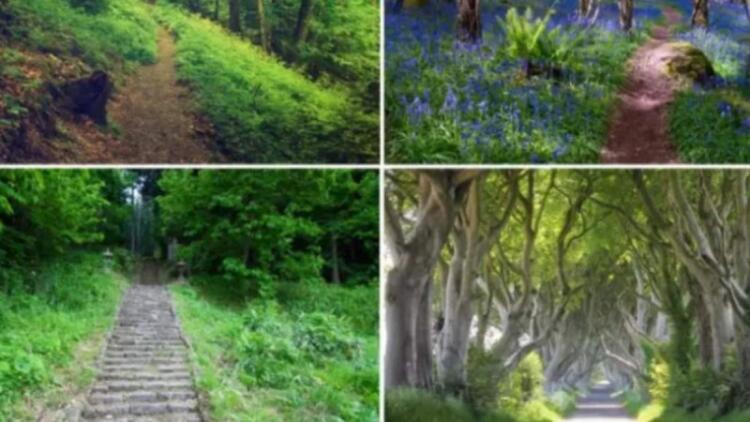 Ποιο μονοπάτι θα διαλέξετε; Το ψυχολογικό τεστ που δείχνει το μέλλον και τον πραγματικό σας χαρακτήρα