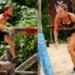 Survivor 2024 spoiler 15/05: Πάρ’ το αλλιώς, θα βρεις! Αυτός είναι ο 4ος υποψήφιος προς αποχώρηση