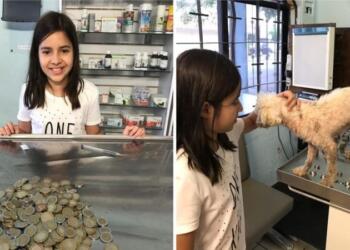 Παράδειγμα απεριόριστης καλοσύνης και αγάπης: 12χρονη ξόδεψε όλες τις οικονομίες της για να σώσει έναν άρρωστο και εγκαταλειμμένο σκυλάκι