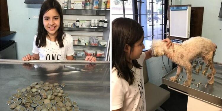 Παράδειγμα απεριόριστης καλοσύνης και αγάπης: 12χρονη ξόδεψε όλες τις οικονομίες της για να σώσει έναν άρρωστο και εγκαταλειμμένο σκυλάκι