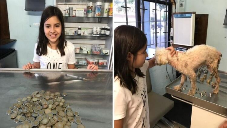 Παράδειγμα απεριόριστης καλοσύνης και αγάπης: 12χρονη ξόδεψε όλες τις οικονομίες της για να σώσει έναν άρρωστο και εγκαταλειμμένο σκυλάκι