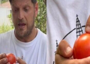 «Δεν είναι το χρώμα»: Ο Έλληνας αγρότης που επιτέλους μας έδειξε πως να διαλέγουμε τις καλύτερες ντομάτες στον μανάβη