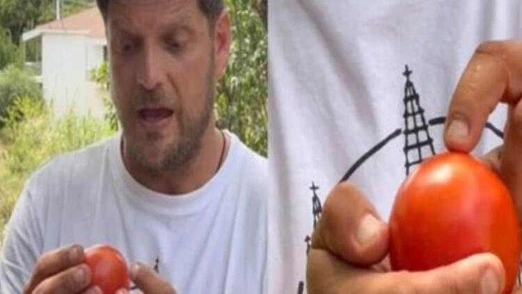 «Δεν είναι το χρώμα»: Ο Έλληνας αγρότης που επιτέλους μας έδειξε πως να διαλέγουμε τις καλύτερες ντομάτες στον μανάβη