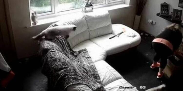 Γονείς τεράστια προσοχή! 39χρονη μητέρα έβαλε κρυφή κάμερα στο σπίτι της – «Κοκκάλωσε» όταν είδε τι έκανε η babysitter (photos)