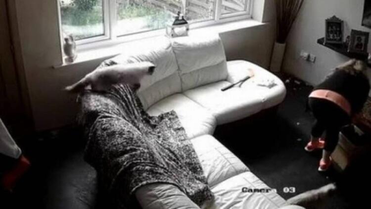 Γονείς τεράστια προσοχή! 39χρονη μητέρα έβαλε κρυφή κάμερα στο σπίτι της – «Κοκκάλωσε» όταν είδε τι έκανε η babysitter (photos)