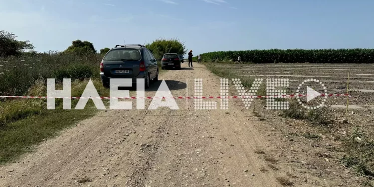 Ηλεία: Θείος της 11χρονης ο δράστης της άγριας δολοφονίας – Πώς ομολόγησε την πράξη του