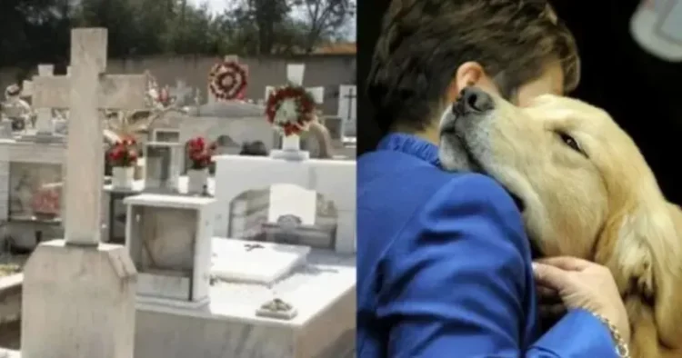 Ήταν οικογένεια: Κρητικός άνοιξε τον οικογενειακό τάφο για να θάψει τον αγαπημένο του σκύλο