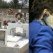 Ήταν οικογένεια: Κρητικός άνοιξε τον οικογενειακό τάφο για να θάψει τον αγαπημένο του σκύλο