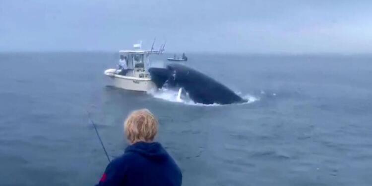 Βίντεο σοκ: Φάλαινα έπεσε σε βάρκα και εκτόξευσε στον αέρα τους ψαράδες