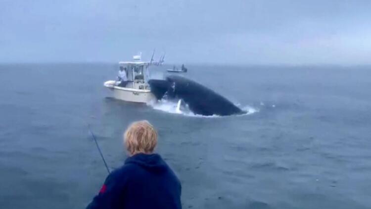 Βίντεο σοκ: Φάλαινα έπεσε σε βάρκα και εκτόξευσε στον αέρα τους ψαράδες