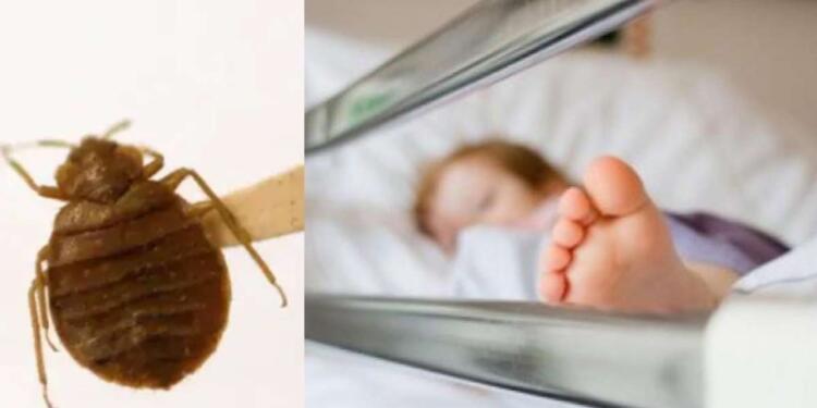 Ασύλληπτη τραγωδία: 11χρονη πέθανε από φάρμακο που έβαλε η γειτόνισσά της για τους κοριούς