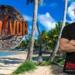 Survivor 2025 spoiler 24/08: Ο Chris Kogias ο μεγάλος στόχος! Η πρόταση που θα ξεπεράσει τις 10.000 ευρώ την εβδομάδα!