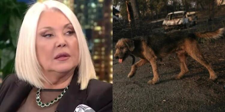 Ξεσπά η Ρούλα Κορομηλά για τις φωτιές στην Αττική: «Από μένα, τεράστια συγγνώμη στα ζώα»
