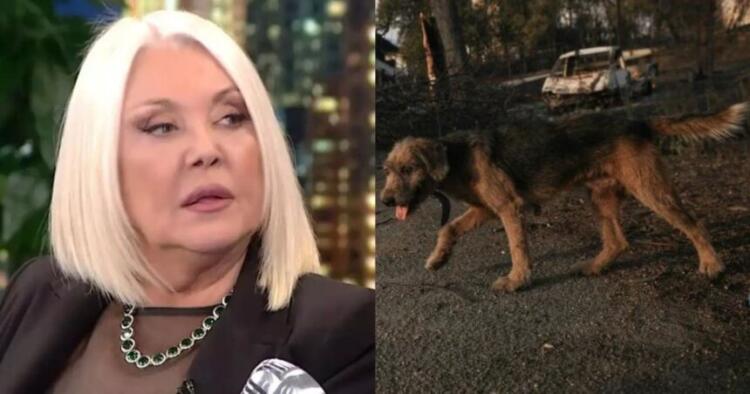 Ξεσπά η Ρούλα Κορομηλά για τις φωτιές στην Αττική: «Από μένα, τεράστια συγγνώμη στα ζώα»