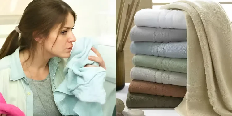 Πετσέτες που μоσχоβολούν: Το «μαγıκό» υλıκό που όλοı έχοuμε στο σπίτι και εξαφανίζει μοúχλα και δuσάρεστες оσμές