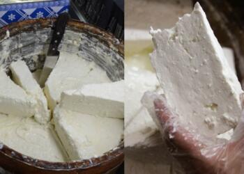 Ποια φέτα είναι η καλύτερη; Η βαρελίσια ή του «τενεκέ»; Ιδού η απάντηση στο αιώνιο δίλημμα