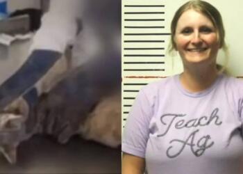 Το ζωάκι ούρλιαζε από τον πόνο: Καθηγήτρια υποχρέωσε τους μαθητές της να κάνουν χειρουργική επέμβαση στην γάτα της (video)