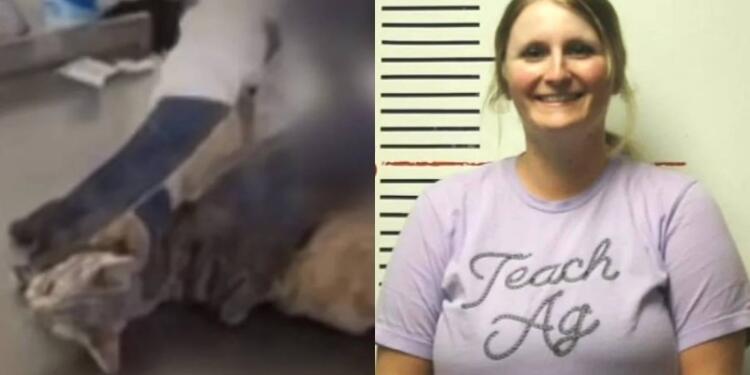 Το ζωάκι ούρλιαζε από τον πόνο: Καθηγήτρια υποχρέωσε τους μαθητές της να κάνουν χειρουργική επέμβαση στην γάτα της (video)