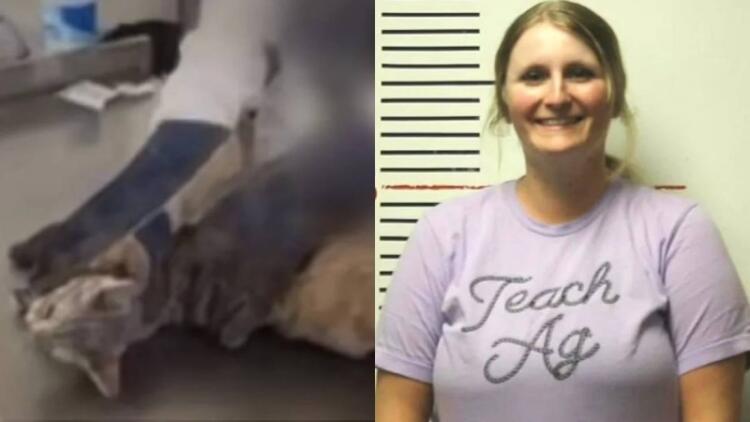 Το ζωάκι ούρλιαζε από τον πόνο: Καθηγήτρια υποχρέωσε τους μαθητές της να κάνουν χειρουργική επέμβαση στην γάτα της (video)