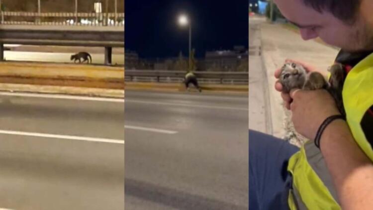 Όλο το ίντερνετ τον χειροκροτά: Παλικάρι σώζει γατάκι που έχει εγκλωβιστεί στη μέση του Κηφισού! (video)