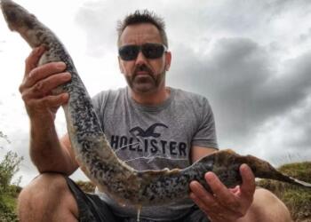 «Εφιάλτης» στο νερό: Άνδρας βρήκε ψάρι… βαμπίρ ενός μέτρου – Τρομακτικές εικόνες!