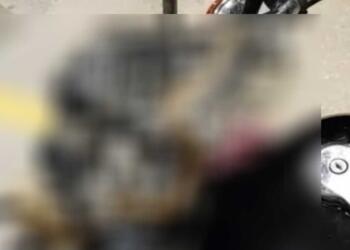 Τρόμος για μοτοσικλετιστή στην Ηγουμενίτσα: Φίδι τυλίχθηκε εν κινήσει στο τιμόνι της μηχανής