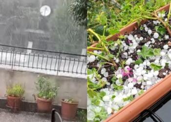 Στο επίκεντρο της κακοκαιρίας η Κοζάνη: Σφοδρή χαλαζόπτωση επί 15′ στο Βελβεντό – Ανεπανόρθωτες ζημιές σε καλλιέργειες (videos-photos)