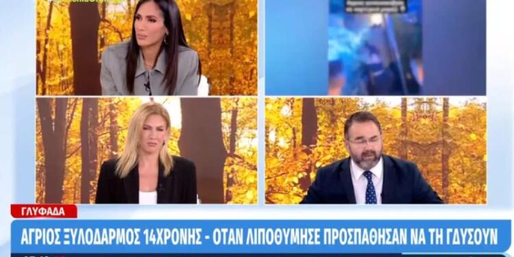 Ανατριχίλα για τον άγριο ξυλοδαρμό της 14χρονης στη Γλυφάδα: «Φρίκαρε ο ιατροδικαστής, έπαθε την πλάκα του» (video)