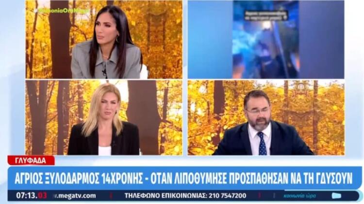 Ανατριχίλα για τον άγριο ξυλοδαρμό της 14χρονης στη Γλυφάδα: «Φρίκαρε ο ιατροδικαστής, έπαθε την πλάκα του» (video)