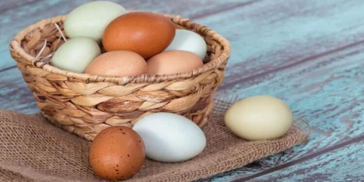 Τρώτε αυγά καθημερινά; Δείτε τι θα συμβεί στο σώμα σας – Πώς επηρεάζουν την υγεία της καρδιάς