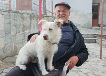 Φρίκη στην Φλώρινα: Σκότωσαν με τσεκούρι τον σκυλάκο ηλικιωμένου που έχασε γιο και σύζυγο σε τρία χρόνια