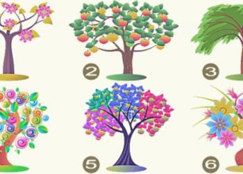 Τεστ προσωπικότητας: Το δέντρο που θα διαλέξετε προδίδει τα κυρίαρχα στοιχεία του χαρακτήρα σας!