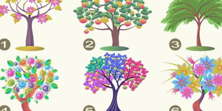 Τεστ προσωπικότητας: Το δέντρο που θα διαλέξετε προδίδει τα κυρίαρχα στοιχεία του χαρακτήρα σας!