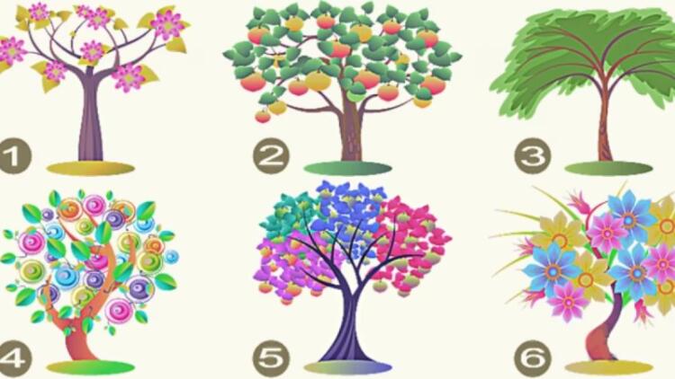 Τεστ προσωπικότητας: Το δέντρο που θα διαλέξετε προδίδει τα κυρίαρχα στοιχεία του χαρακτήρα σας!