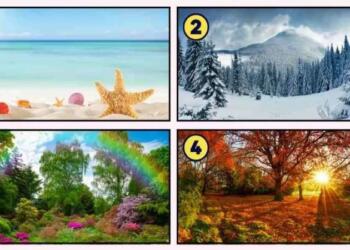 Τεστ προσωπικότητας: Η εποχή που επιλέγετε αποκαλύπτει τα πιο πολύτιμα χαρακτηριστικά της προσωπικότητάς σας