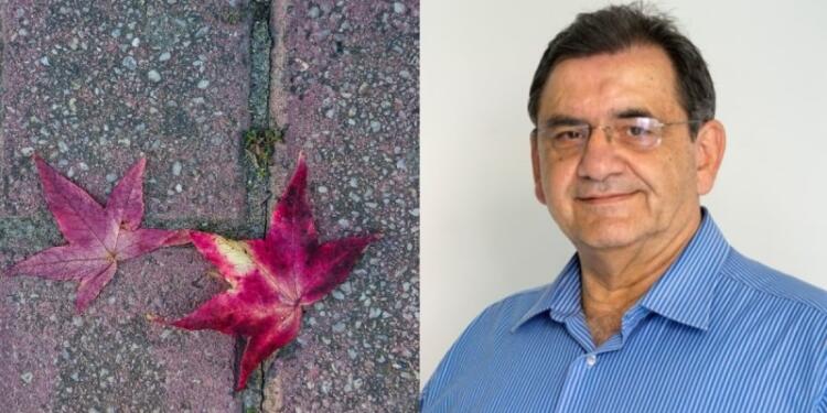 Ολική η αλλαγή του καιρού από τον Θοδωρή Κολυδά – Ποιες είναι οι περιοχές που θα δουν μονοψήφιο αριθμό στον υδράργυρο!