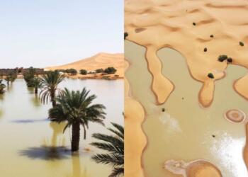 Ασύλληπτες εικόνες: Πλημμύρισε η έρημος Σαχάρα! (video)