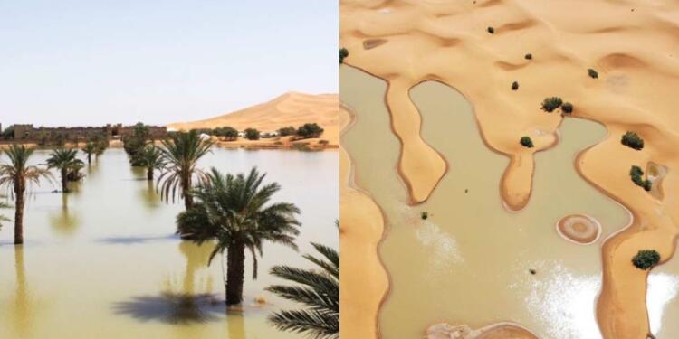 Ασύλληπτες εικόνες: Πλημμύρισε η έρημος Σαχάρα! (video)