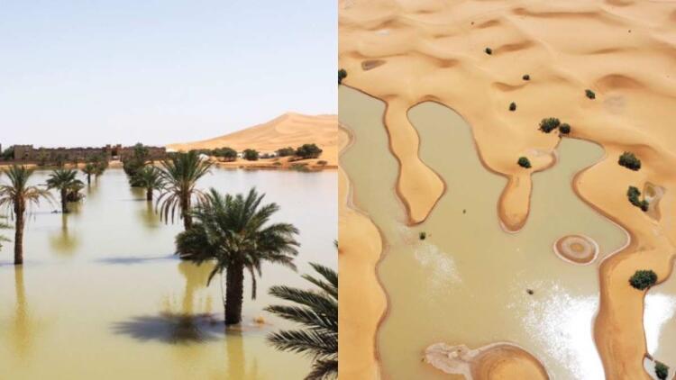 Ασύλληπτες εικόνες: Πλημμύρισε η έρημος Σαχάρα! (video)