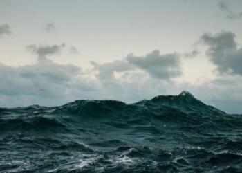 Ανατριχιαστικό: Θαλάσσιο πλάσμα ξεβράστηκε σε παραλία και έσπειρε τον τρόμο!