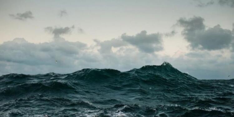 Ανατριχιαστικό: Θαλάσσιο πλάσμα ξεβράστηκε σε παραλία και έσπειρε τον τρόμο!